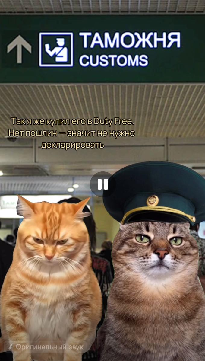 Кадр из ролика: два мемных кота у табло «ТАМОЖНЯ», один в фуражке; диалог про покупку в Duty Free и отсутствие пошлин.
