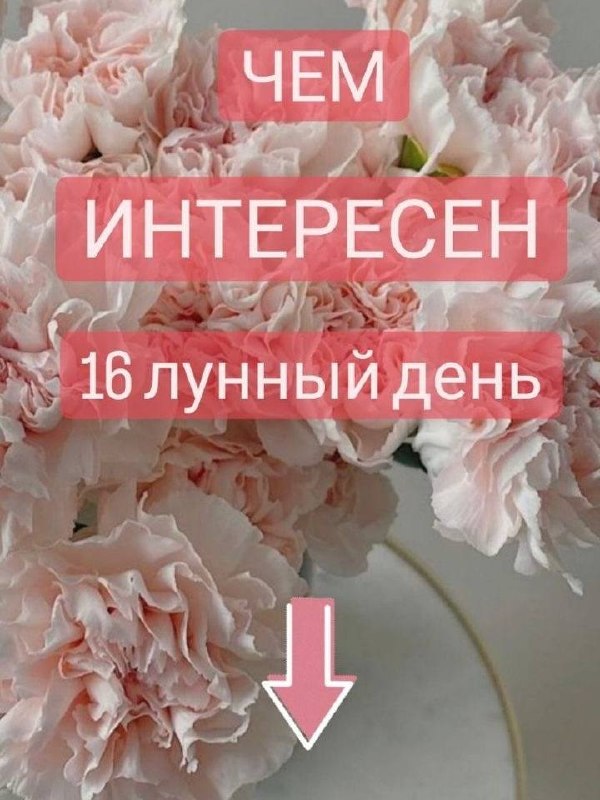 День мозгового штурма и решения сложных проблем