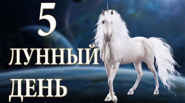5 лунные сутки