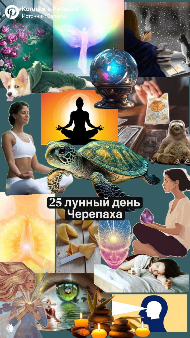 Коллаж с символами лунного дня: черепаха в центре, медитация, карты Таро и свечи — образы уединения и интуиции