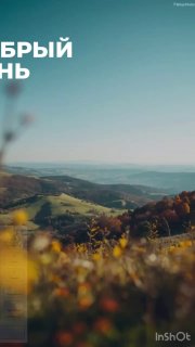 Панорамный пейзаж: холмы и долина вдалеке, размытие осенних цветов на переднем плане и чистое голубое небо, спокойная сцена.