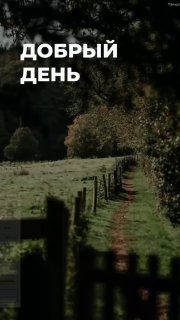 Пейзаж: лесная тропа и деревянный забор на фоне зелёной поляны и деревьев; вверху кадра крупная надпись «ДОБРЫЙ ДЕНЬ».