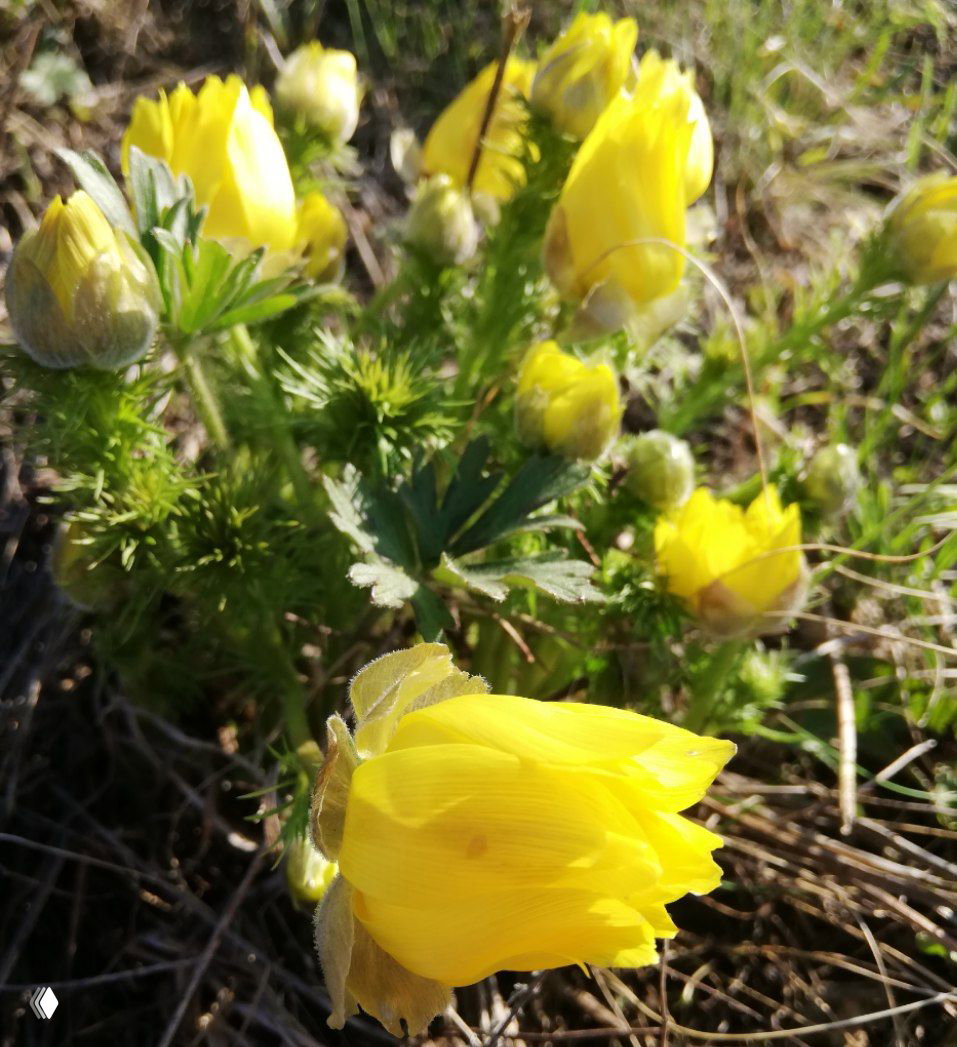 Правильный способ строить отношения с мужчиной