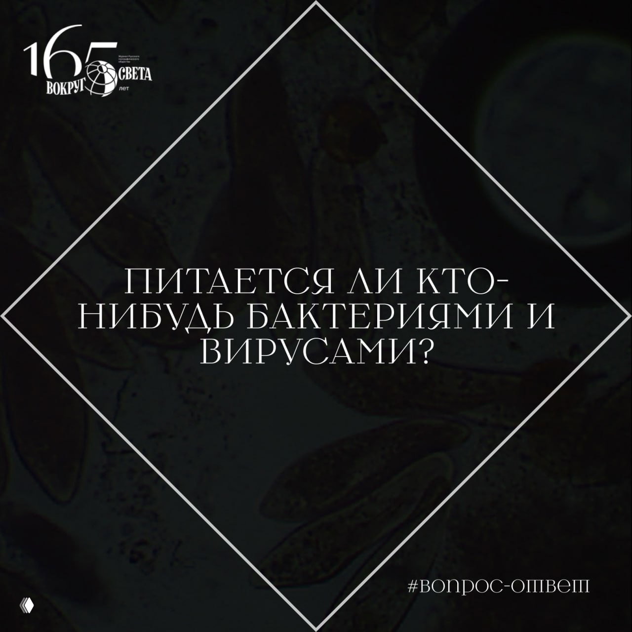 Питается ли кто-нибудь бактериями и вирусами?