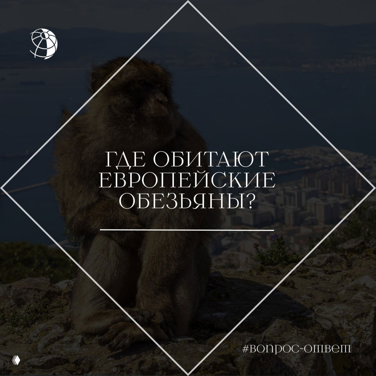 Где обитают европейские обезьяны?