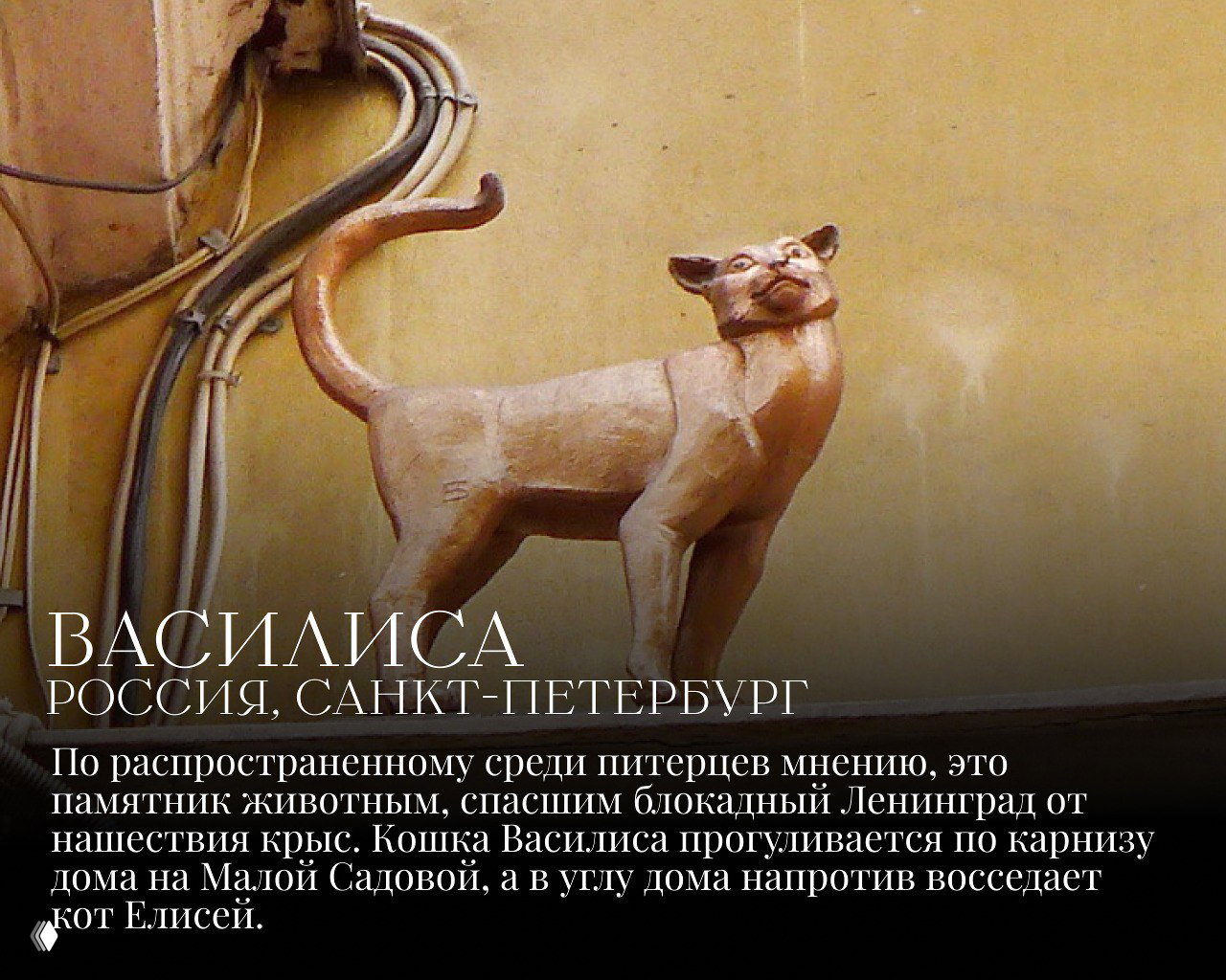 Бронзовая статуэтка кошки Василисы на карнизе дома на Малой Садовой в Санкт‑Петербурге, городской ракурс и историческая привязка памятника.