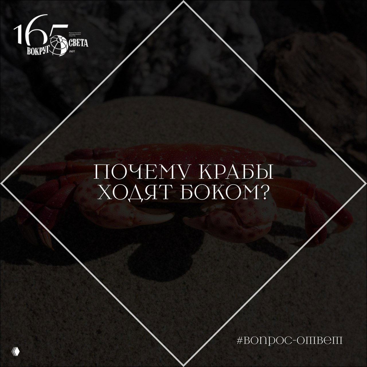 Почему крабы ходят боком?