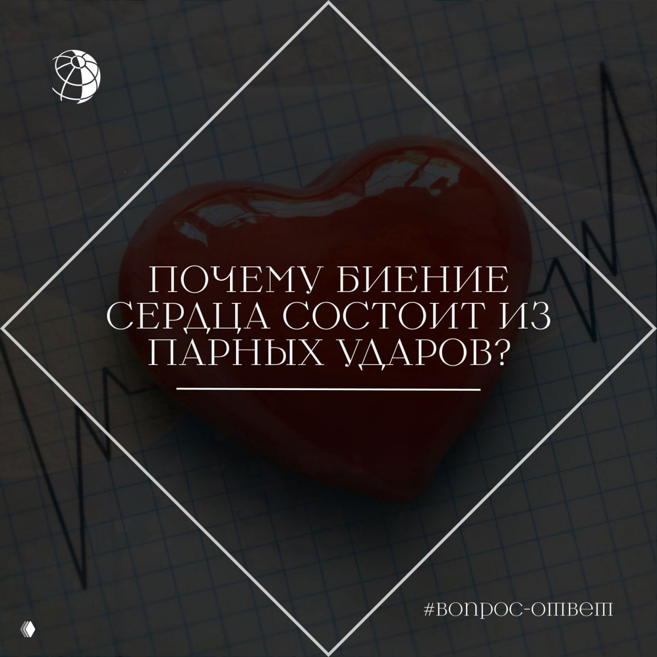 Почему биение сердца состоит из парных ударов?