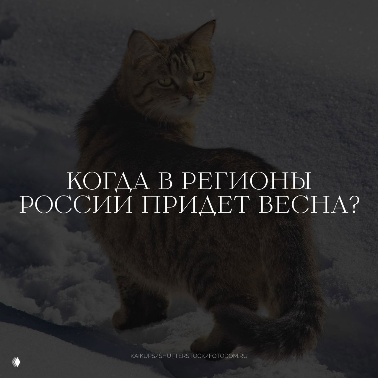 Когда в регионы России придет весна — прогноз