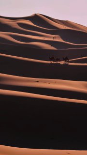 Вертикальная фотография дюн пустыни Гоби на рассвете с глубокими тенями и крошечными силуэтами каравана верблюдов на гребне