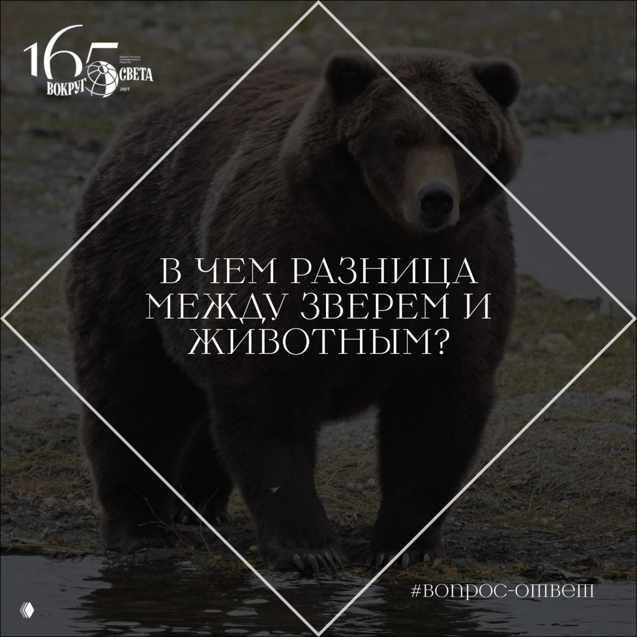В чем разница между зверем и животным?
