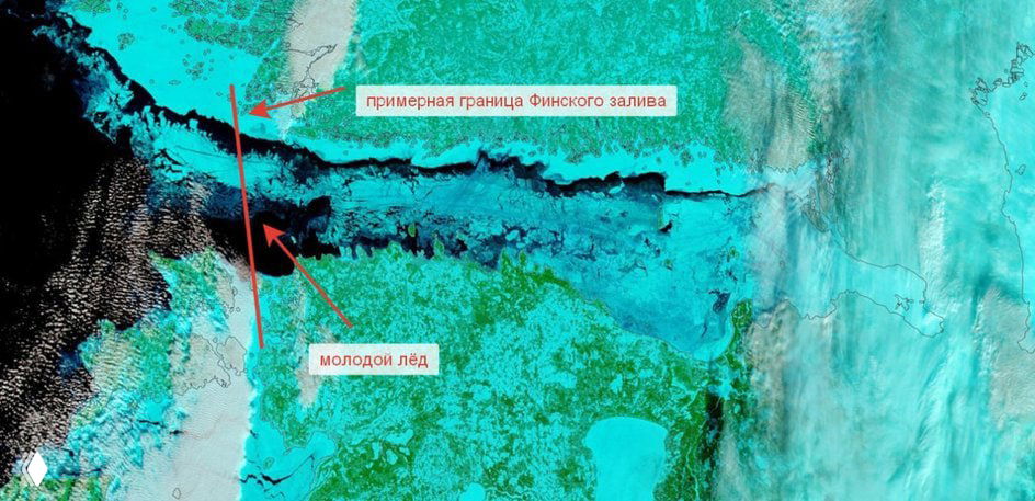 Финский залив полностью покрылся льдом впервые за 15 лет