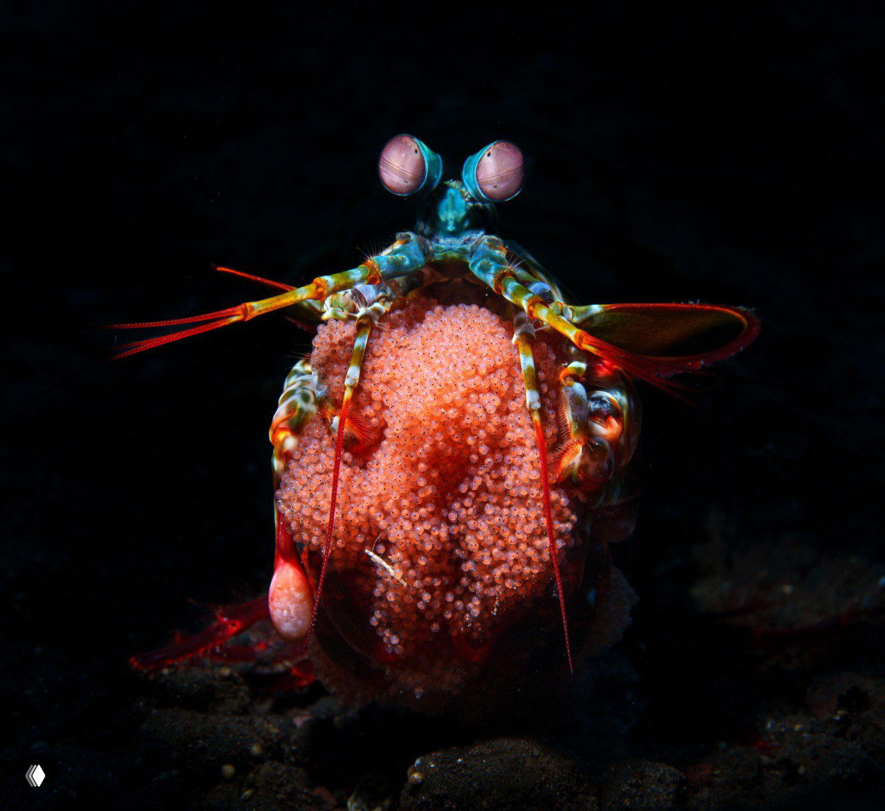 Третье место в номинации «Вода»