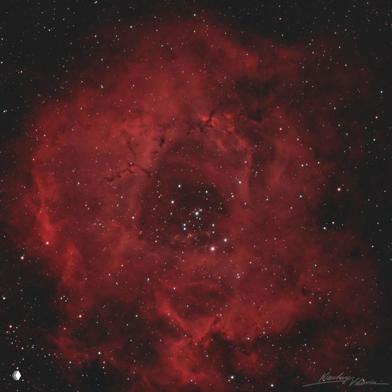 Крупный снимок туманности Розетка с характерной розеткообразной структурой и рассыпанным вокруг кластером молодых звёзд.