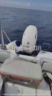 Голова акулы мако у борта небольшого судна в открытом море — кадр из видео рыбаков в бухте Широкой у Путятина, в Приморских водах.