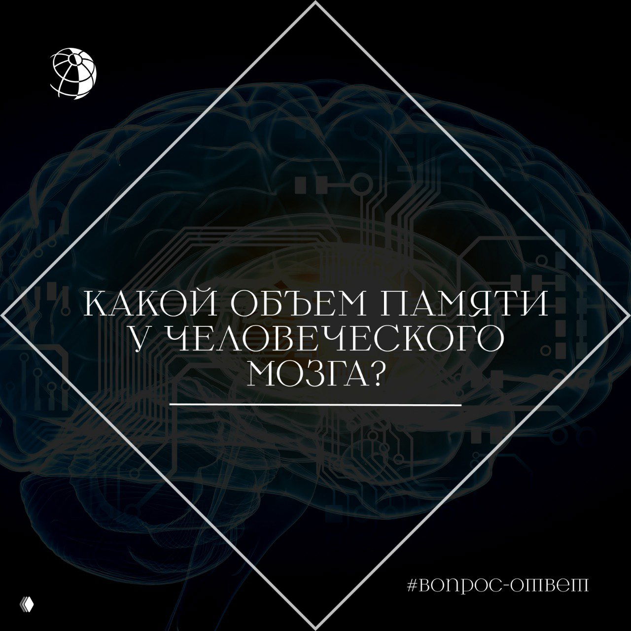 Какой объём памяти у человеческого мозга?