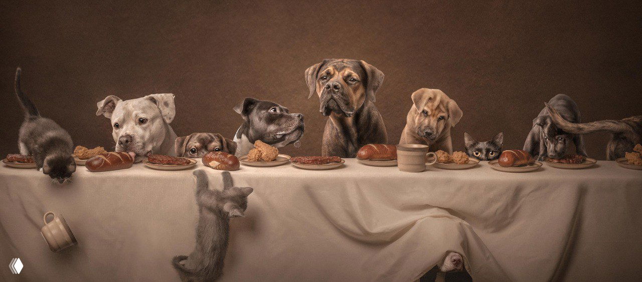 Композиционный натюрморт с многочисленными собаками за столом в стиле живописной постановки, тёплая цветовая гамма и юмористический мотив коллективного портрета.