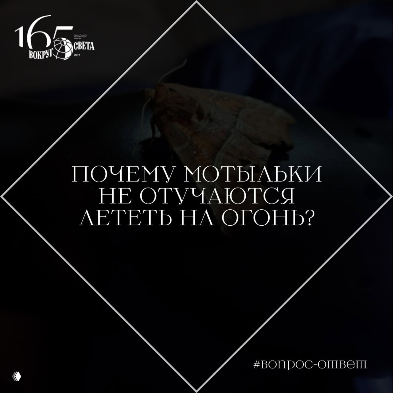 Почему мотыльки не отучаются лететь на огонь?
