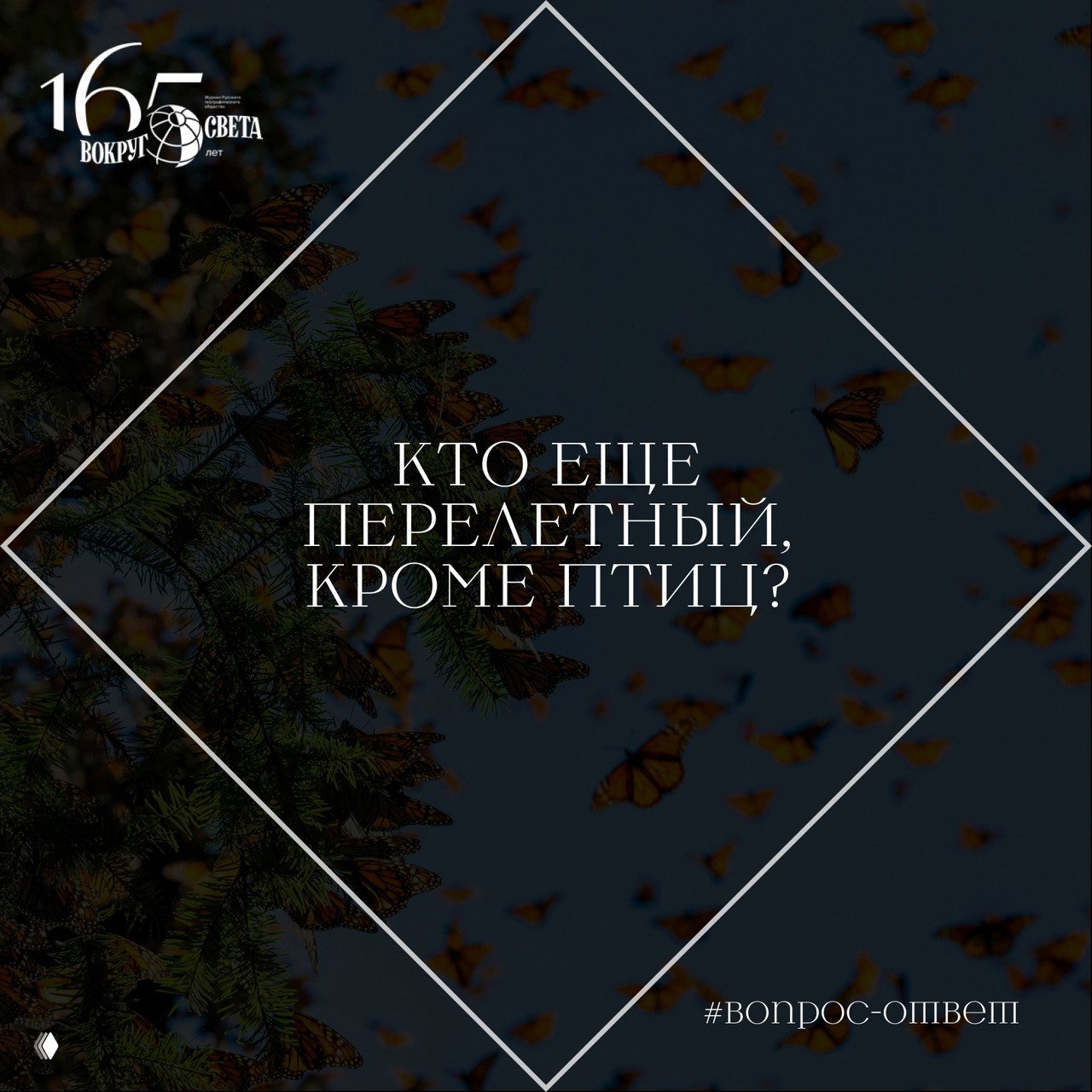 Кто еще перелетный, кроме птиц?