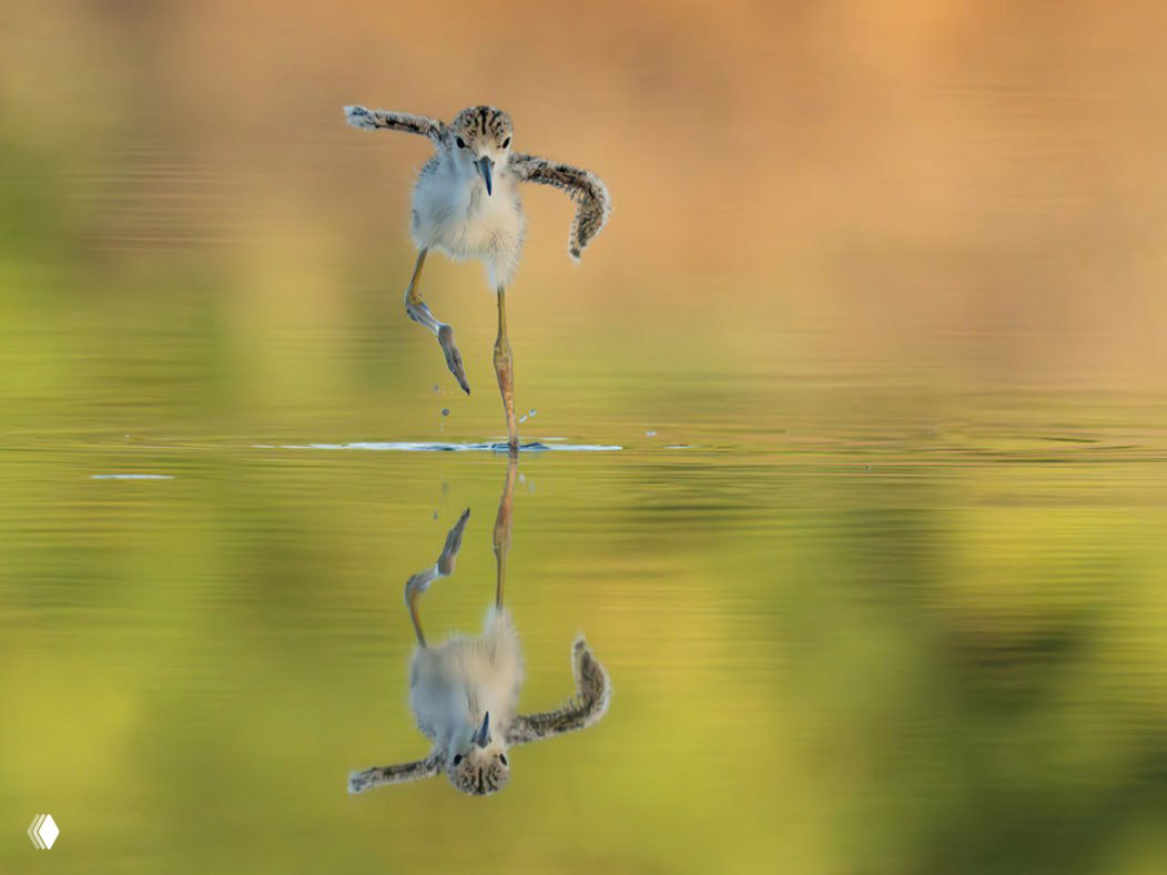 Лучшие кадры фотоконкурса Arizona Highways