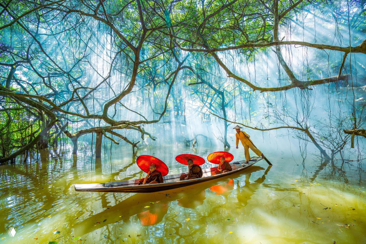 Финалист ColorPro Awards — фото Swe Tun