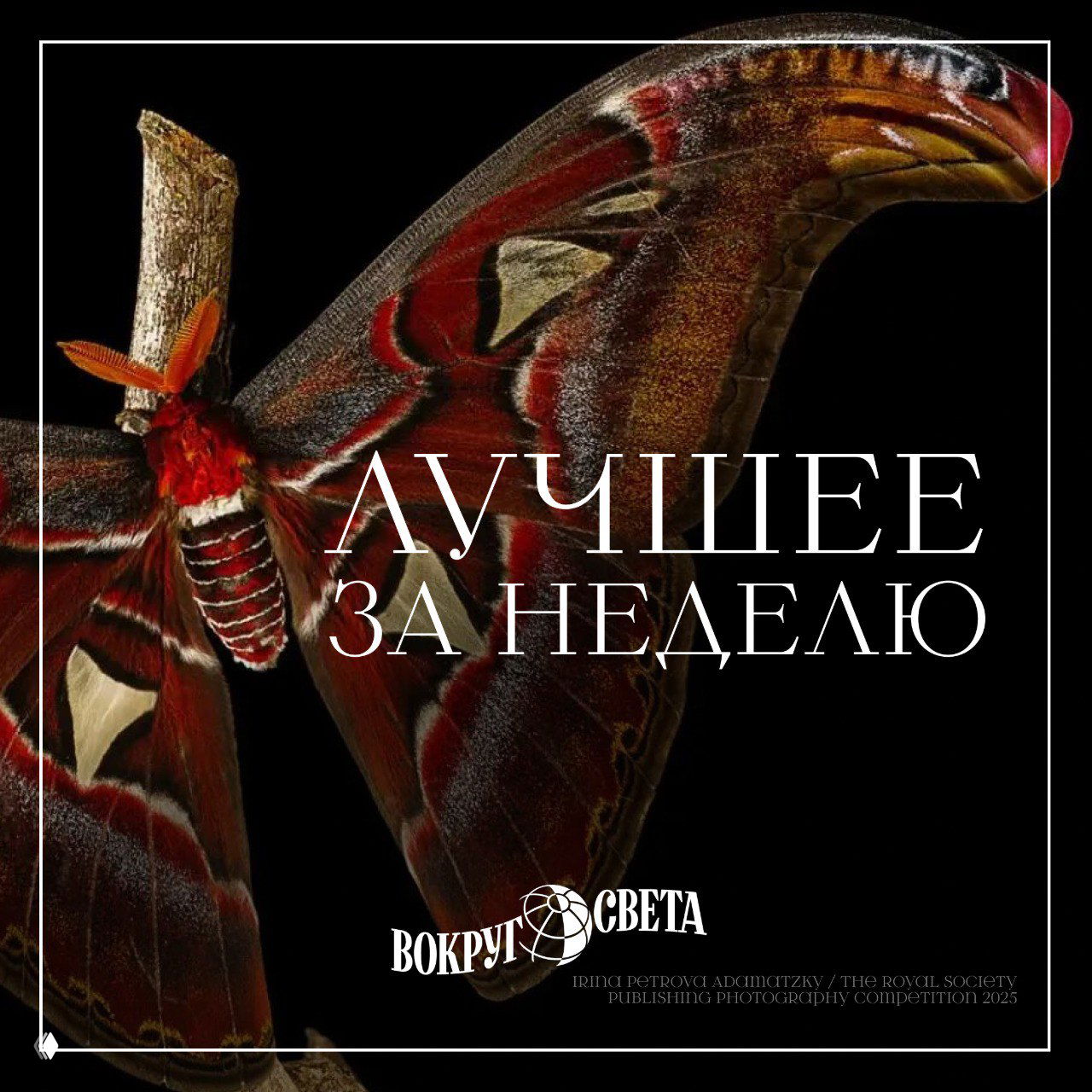 Традиционная подборка статей на выходные