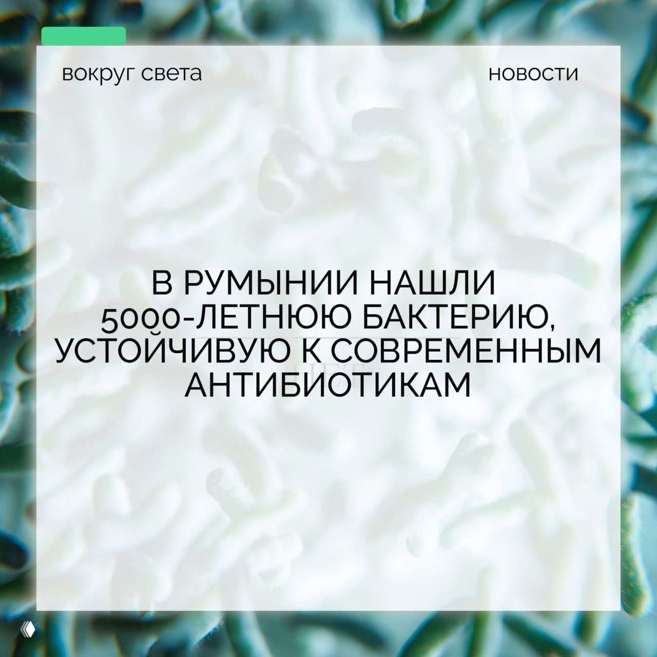 5000-летняя бактерия в Румынии устойчива к антибиотикам