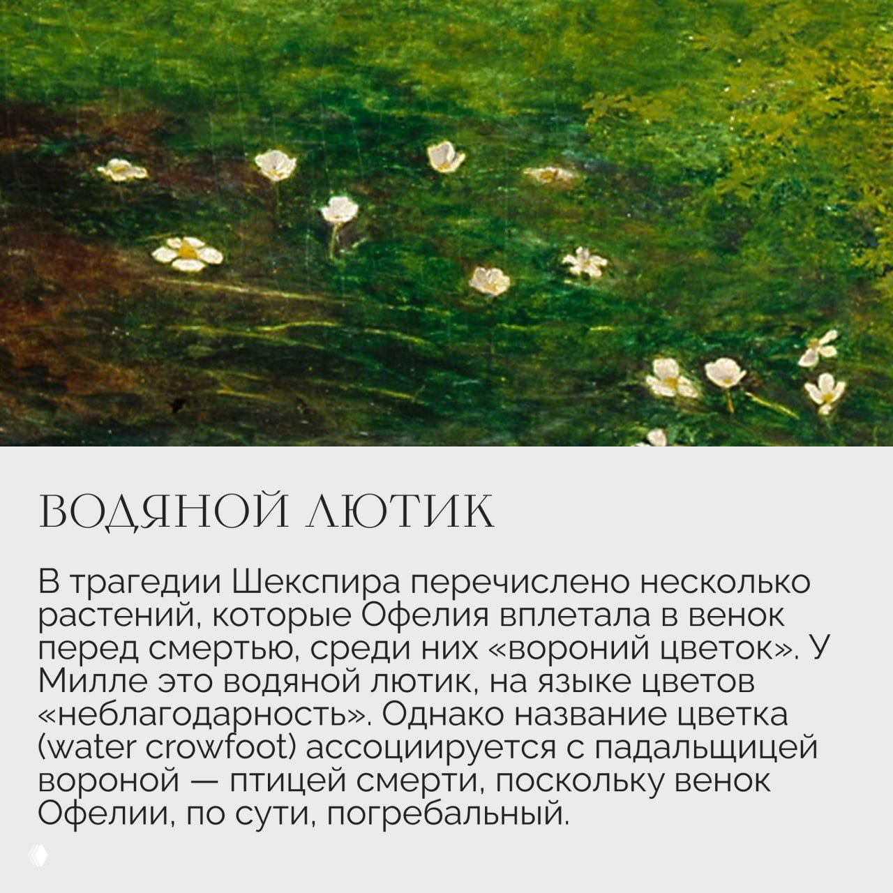 Фрагмент полотна «Офелия» с деталями воды и плавающими цветами; видны водяной лютик и другие растения, подчёркивающие мотивы смерти и траура на картине Милле.