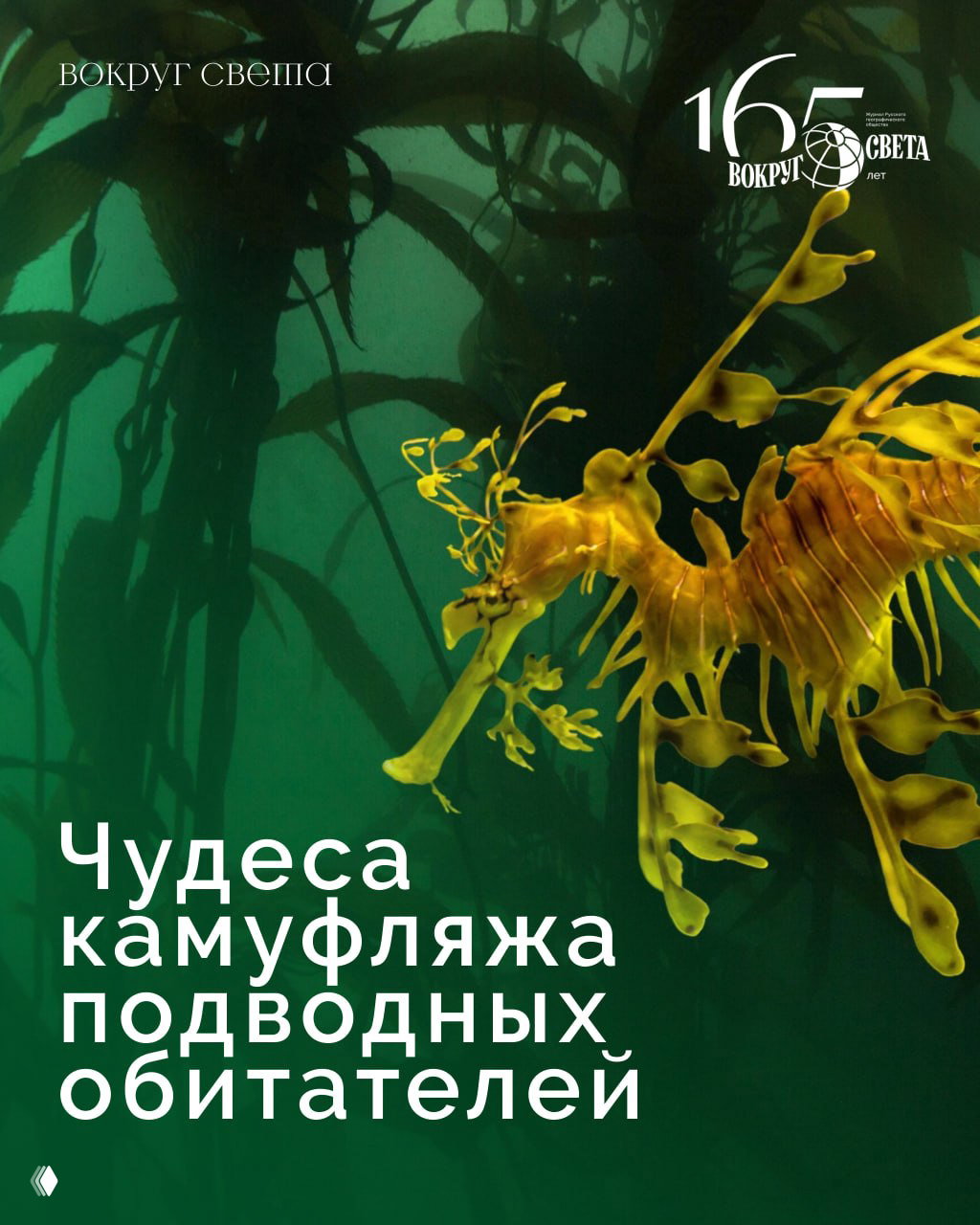 Как подводные обитатели демонстрируют чудеса камуфляжа