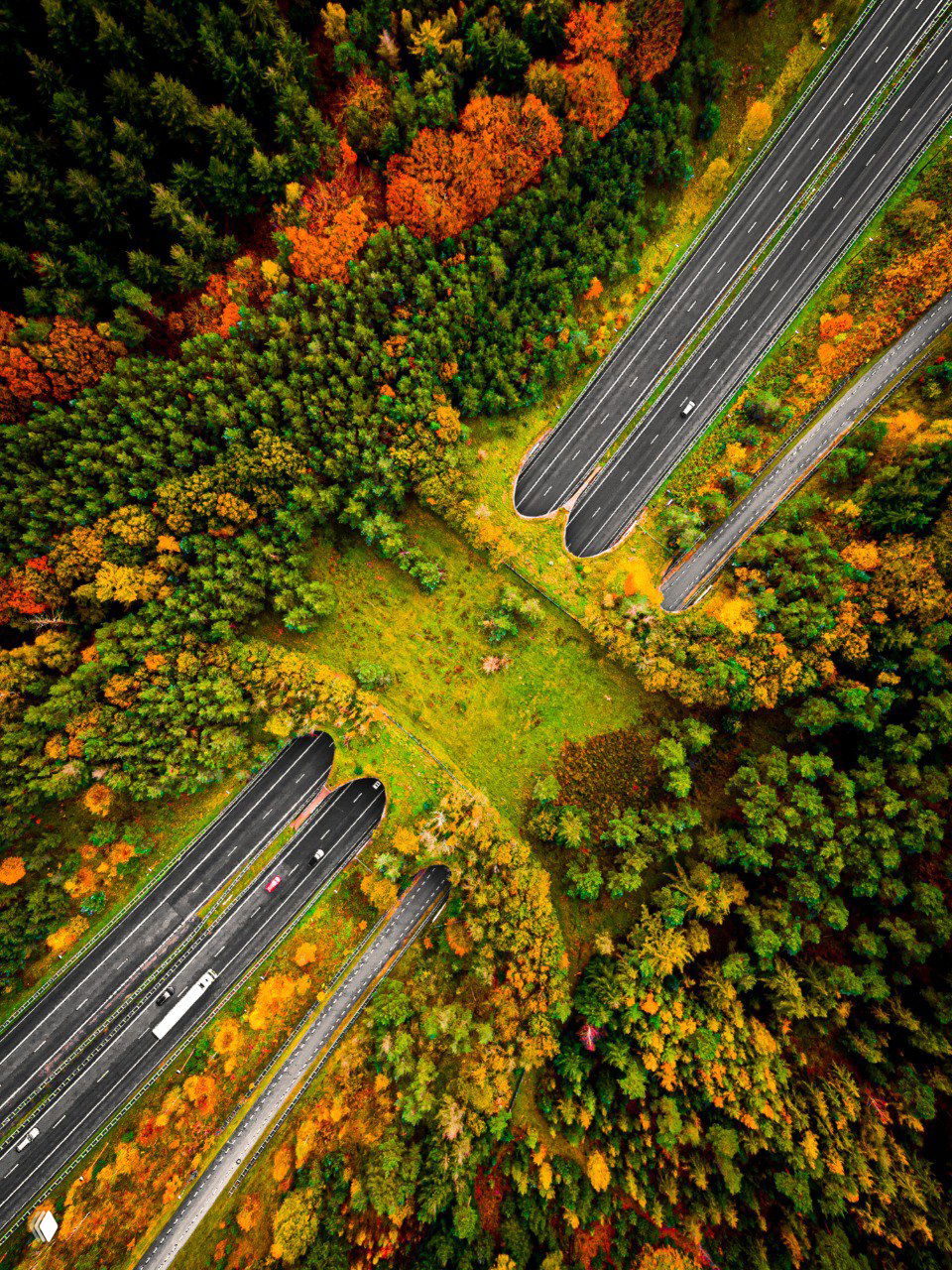 Экодук в Вусте Хуве через трассу Апелдорн—Арнем