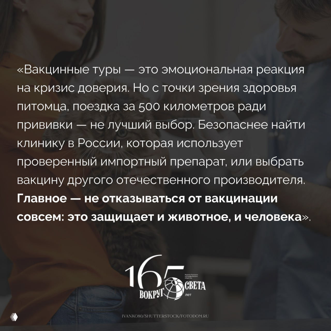 Почему собак и кошек везут прививать в Беларусь
