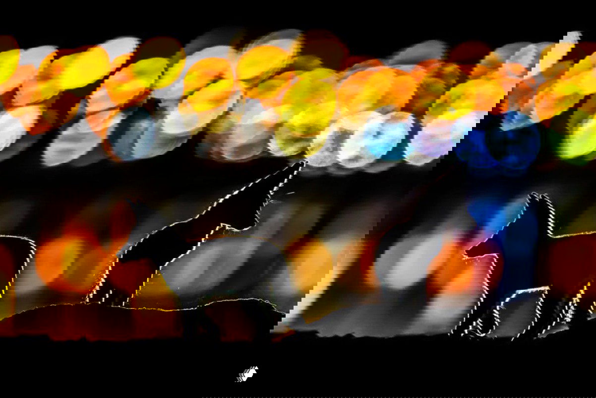 Силуэты двух лис на фоне ярких размытых огней и отражений; контровой свет подчёркивает контуры животных и создаёт атмосферный сюжет.