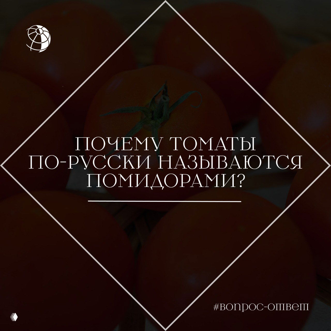 Почему томаты по‑русски называются помидорами?