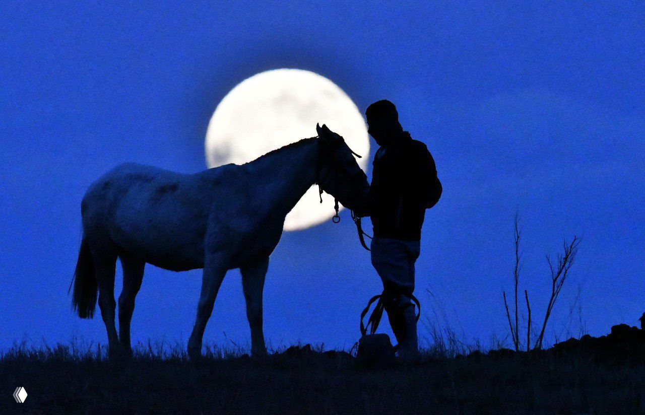 Силуэт человека с лошадью на фоне яркой полной Луны, лунный диск на низком горизонте создаёт эффектный контраст и силуэтный сюжет в синих тонах
