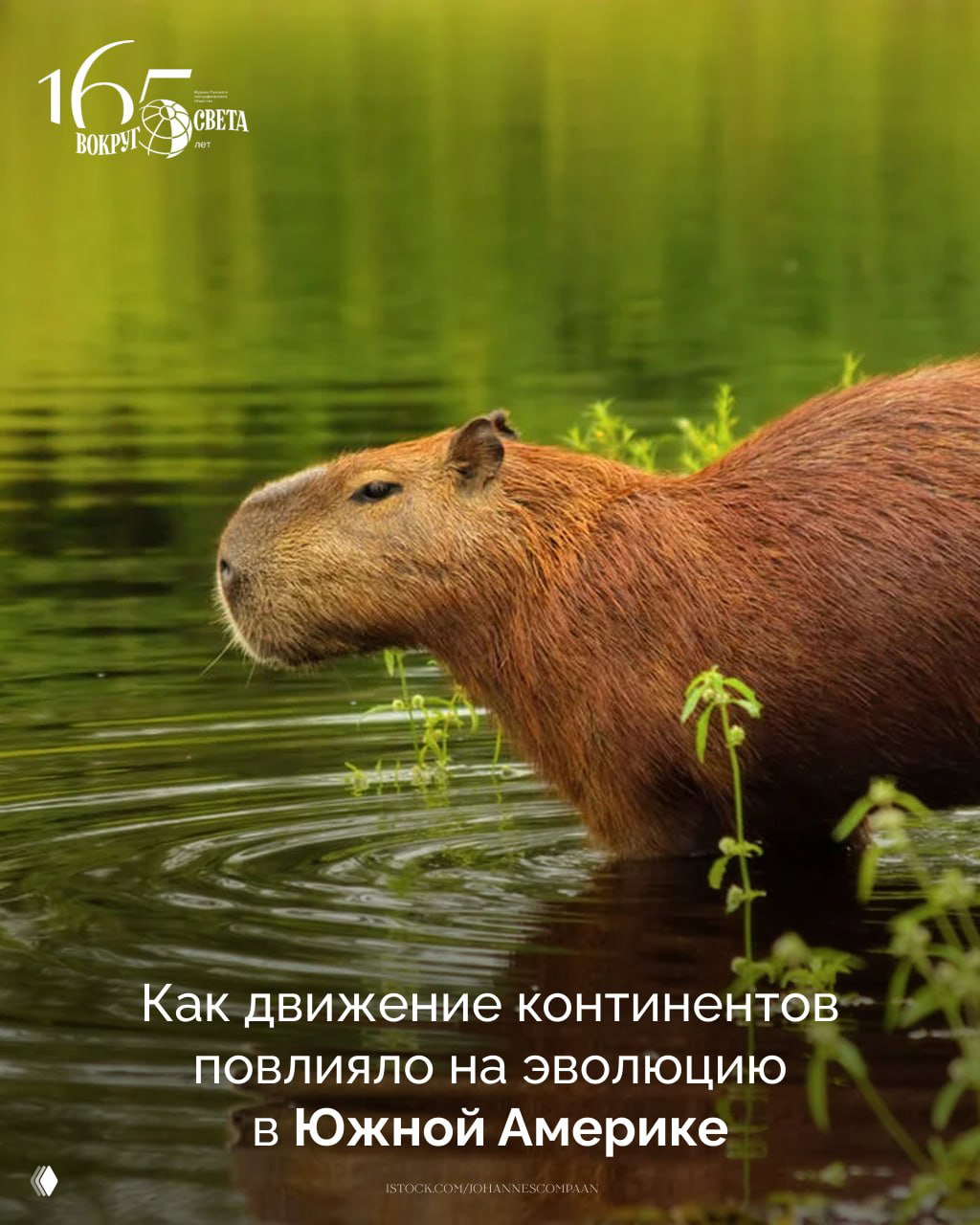 Дерби Нового Света: эволюция Южной Америки