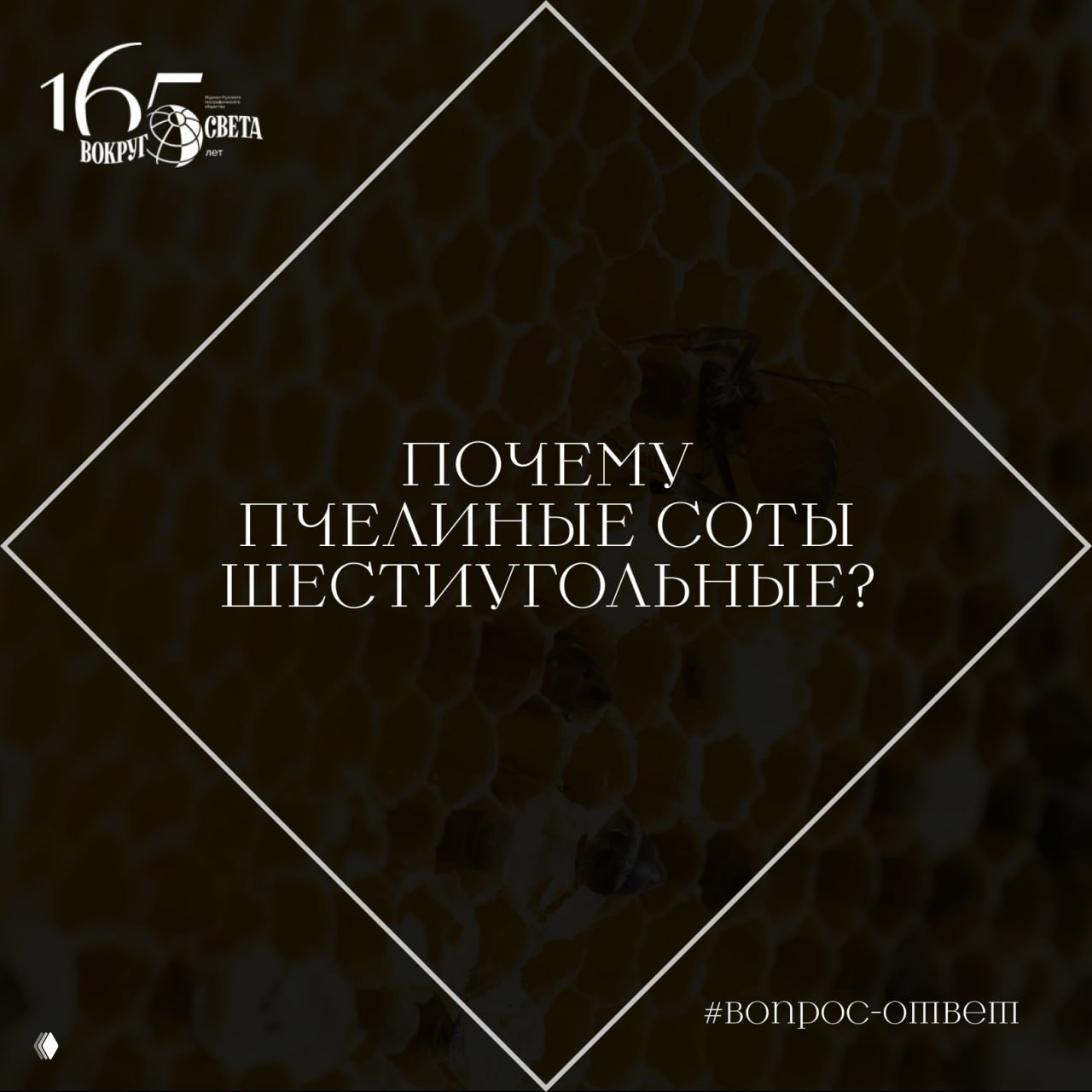 Почему пчелиные соты шестиугольные?