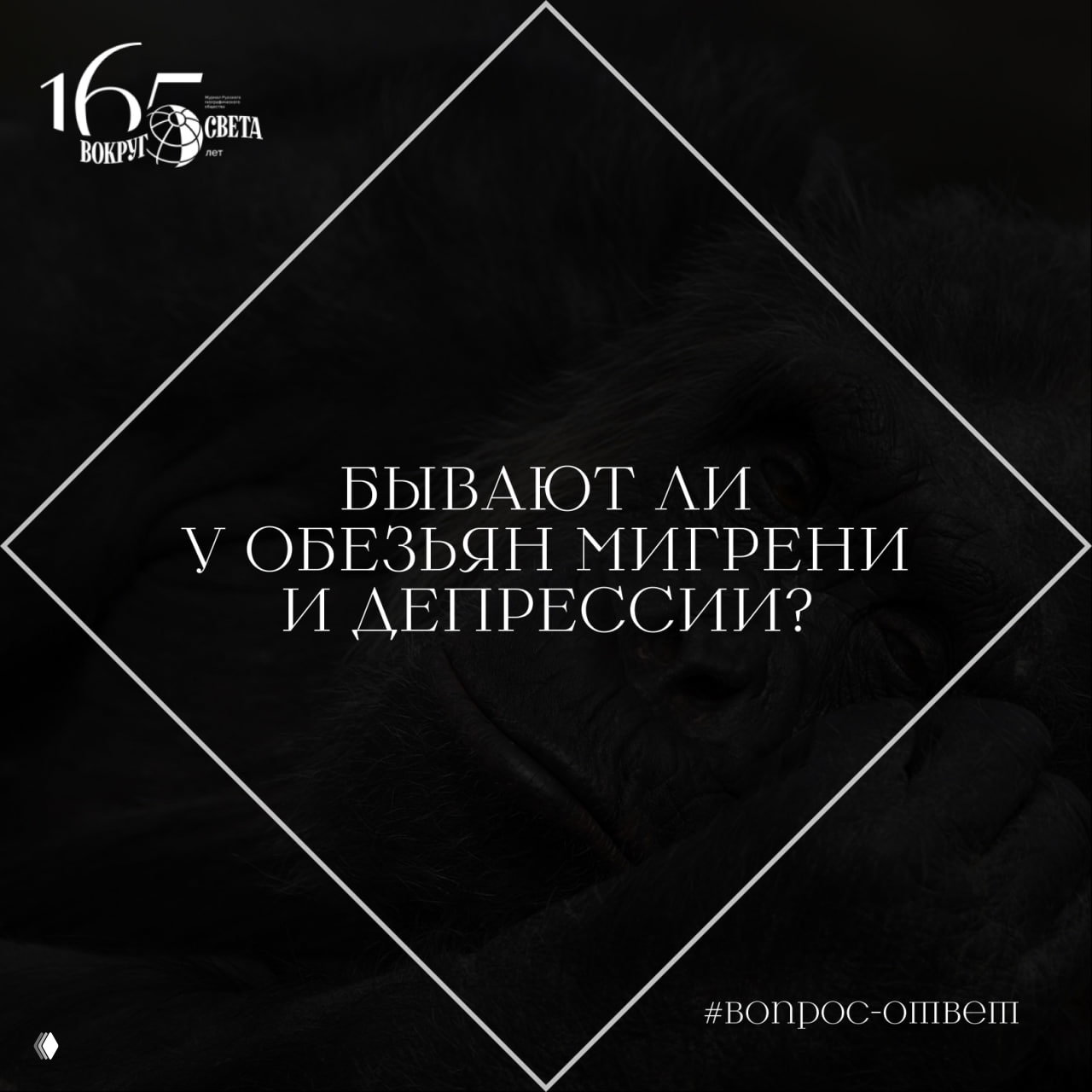 Бывают ли у обезьян мигрени и депрессии?