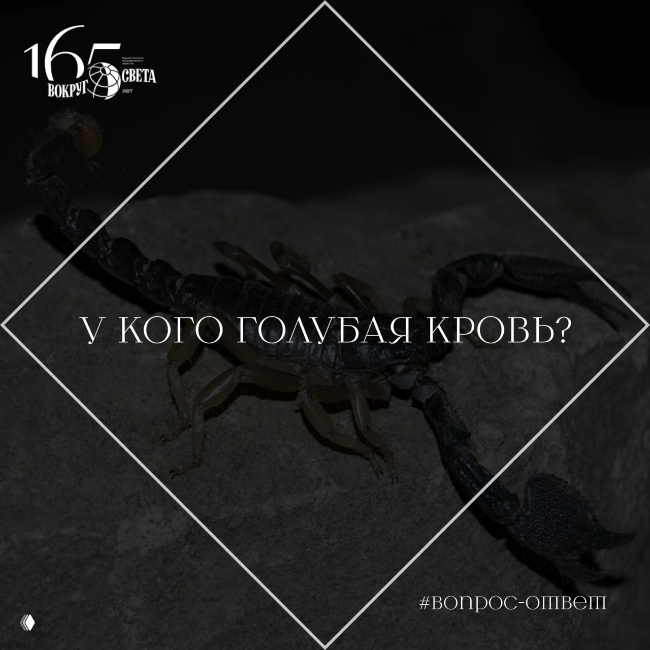 У кого голубая кровь?