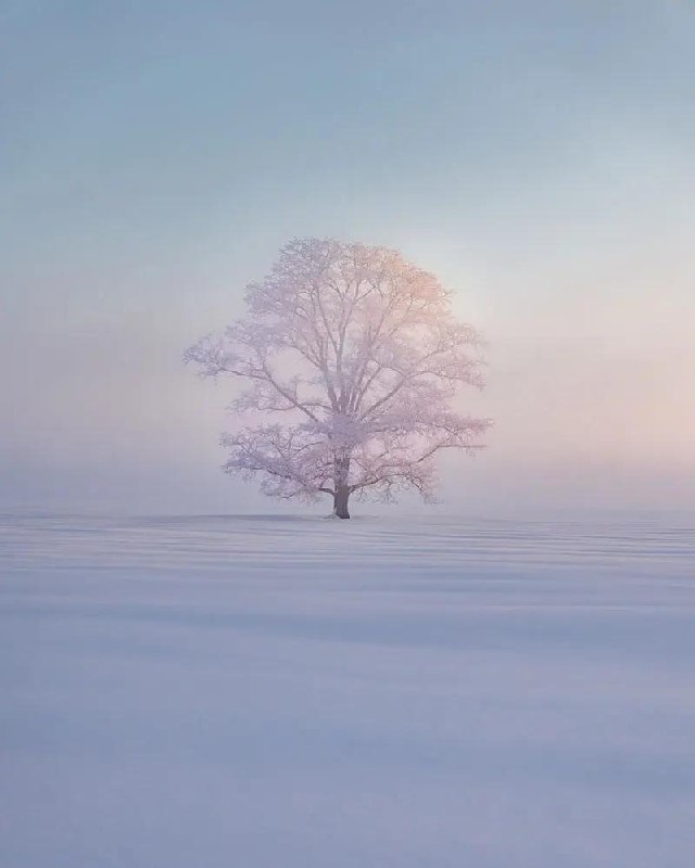 Япония, Хоккайдо — победитель «Снег и лед»