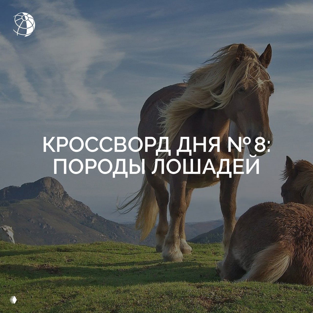 Кроссворд дня №8: породы лошадей