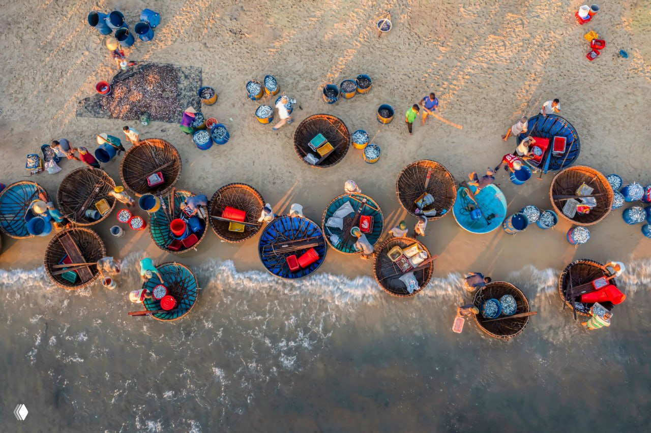 Крупный план с высоты на песчаный берег Там Тьен: круглые деревянные лодки, заполненные уловом, и торговцы, раскладывающие рыбу в ёмкости.