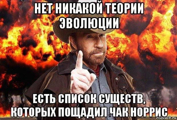 Мем-картинка с Чаком Норрисом на фоне огня и ироничной подписью про отсутствие теории эволюции; распространённый интернет-шаблон.