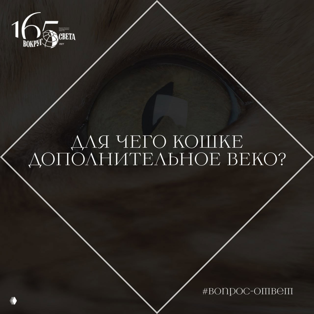 Для чего кошке дополнительное веко?