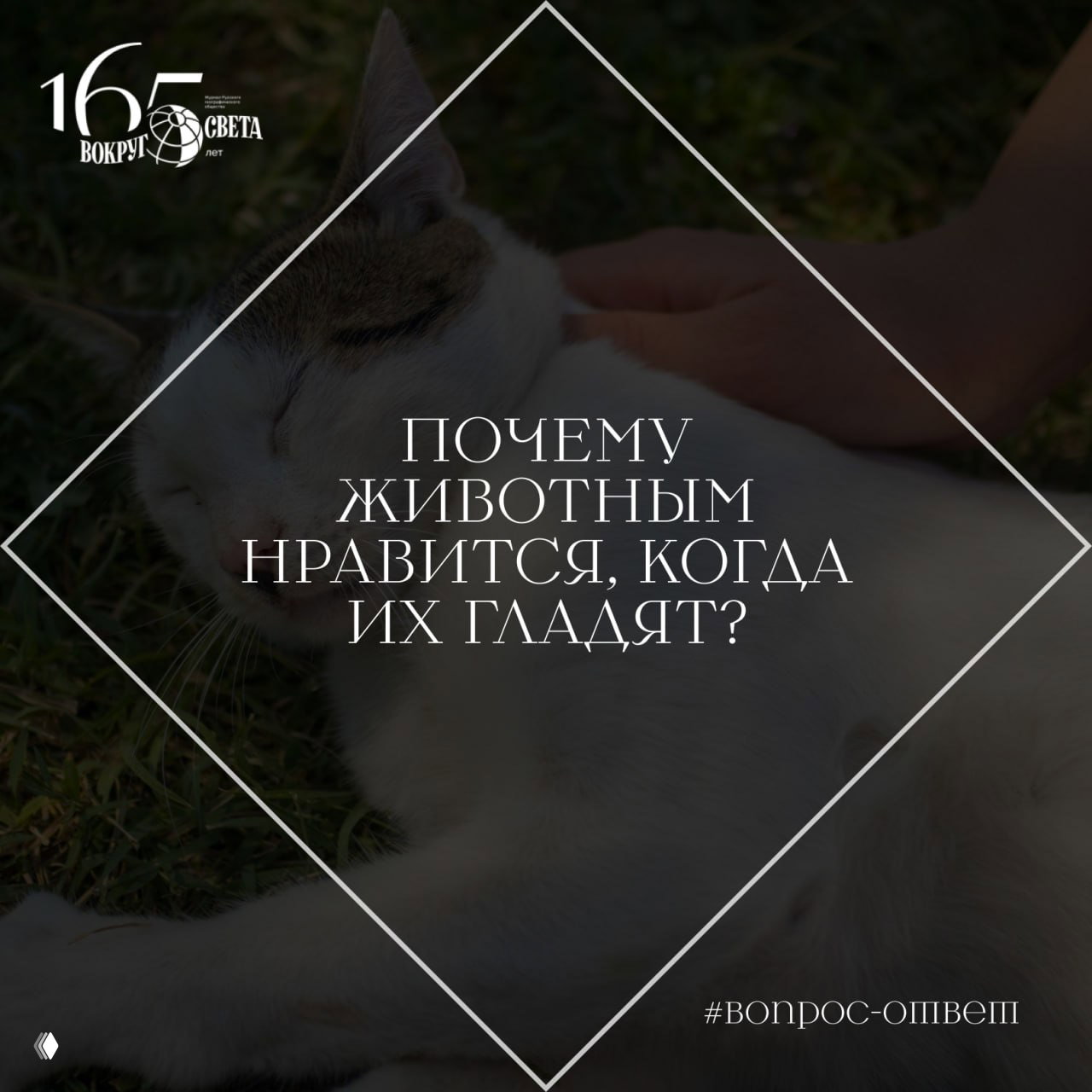 Почему животным нравится, когда их гладят?