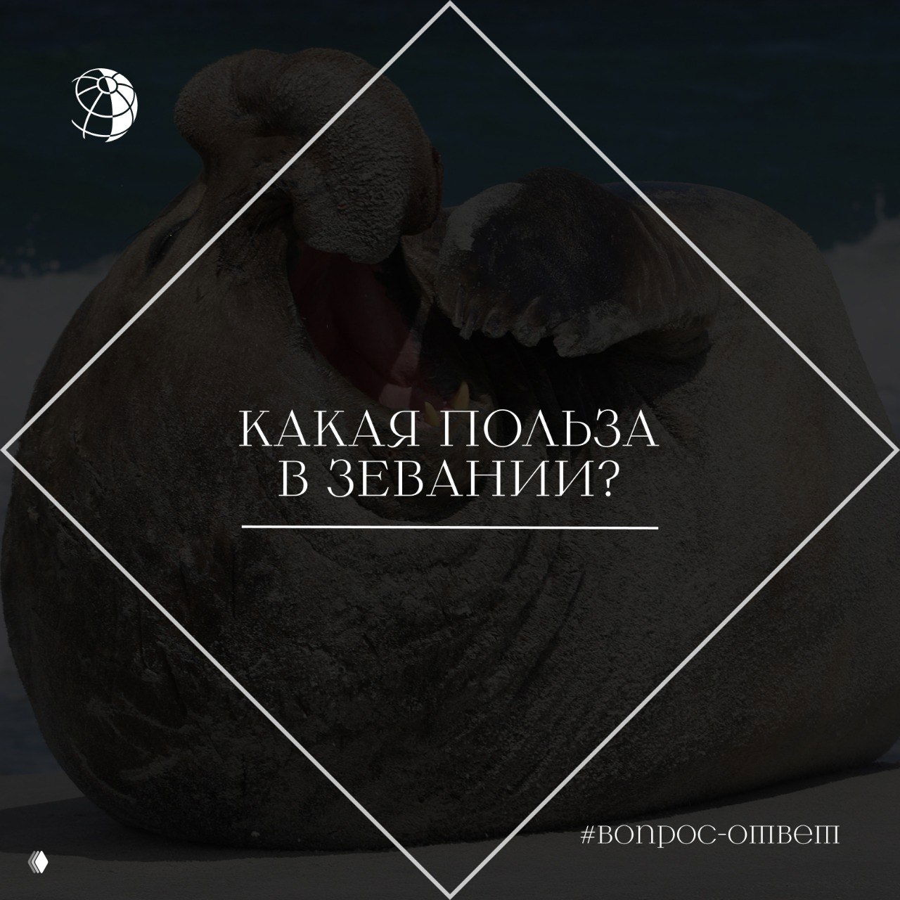 Какая польза в зевании?