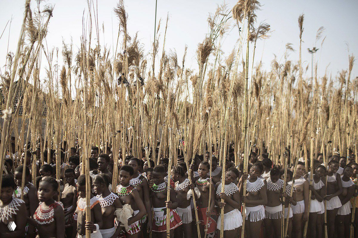 Свазиленд: Умланга — танец тростника