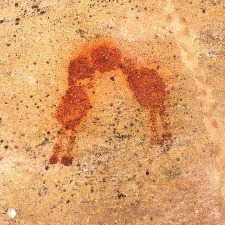 Первый поцелуй произошел 21 млн лет назад