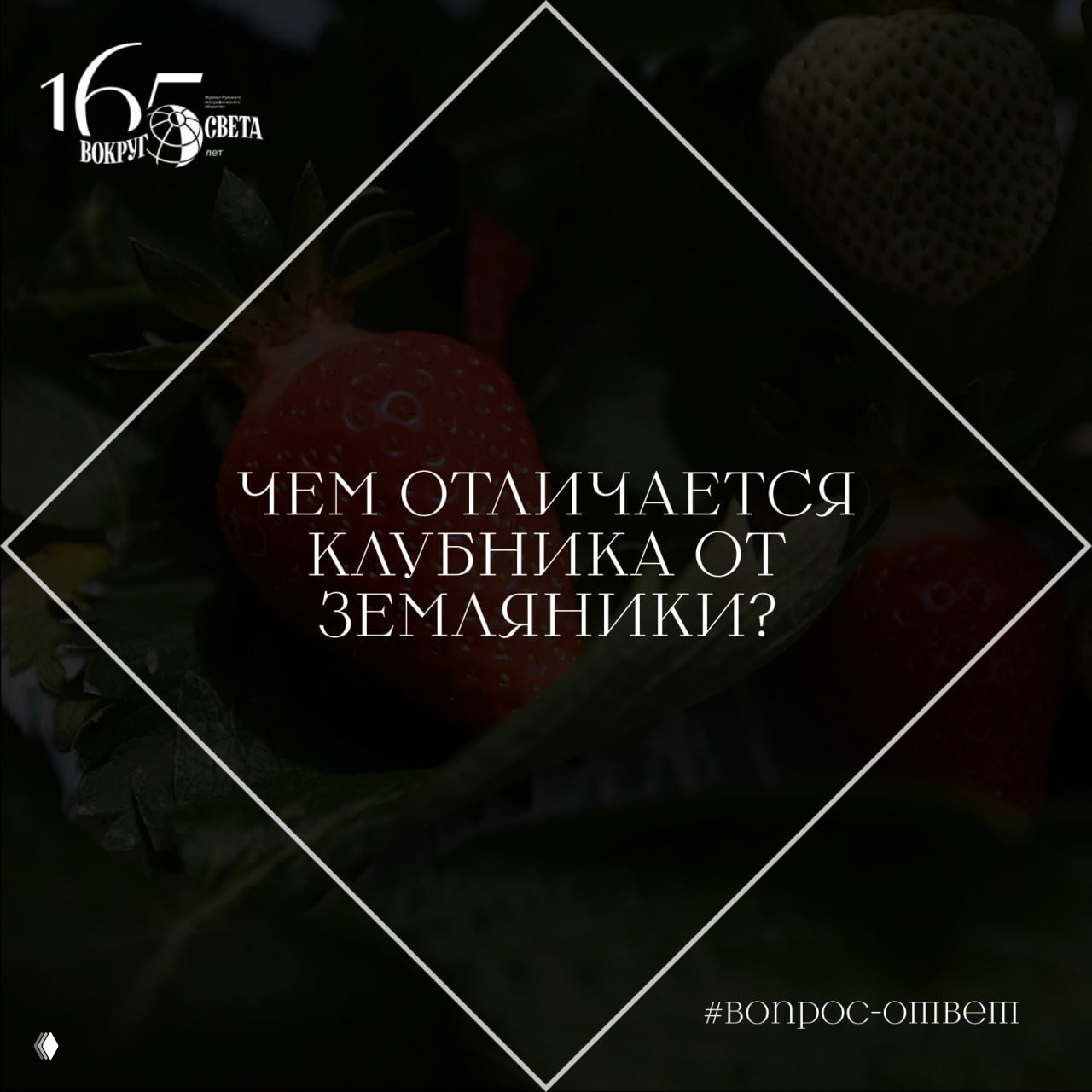 Чем отличается клубника от земляники?