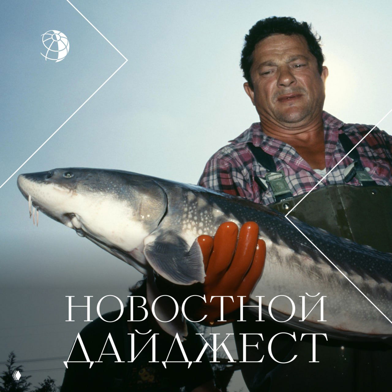 Традиционный дайджест самых интересных новостей