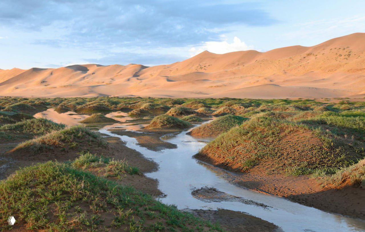 Низкий ракурс на дюны и холмы Гоби с мелководными протоками и зелёными куртинами растений на переднем плане после дождя
